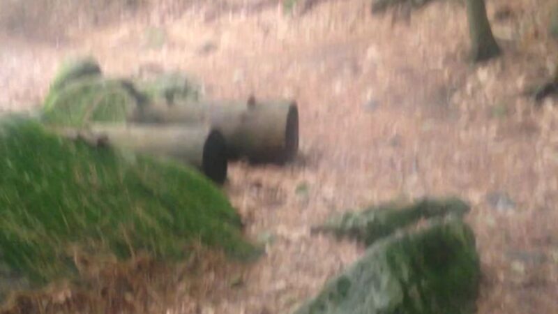 College Woods - Durham, NH