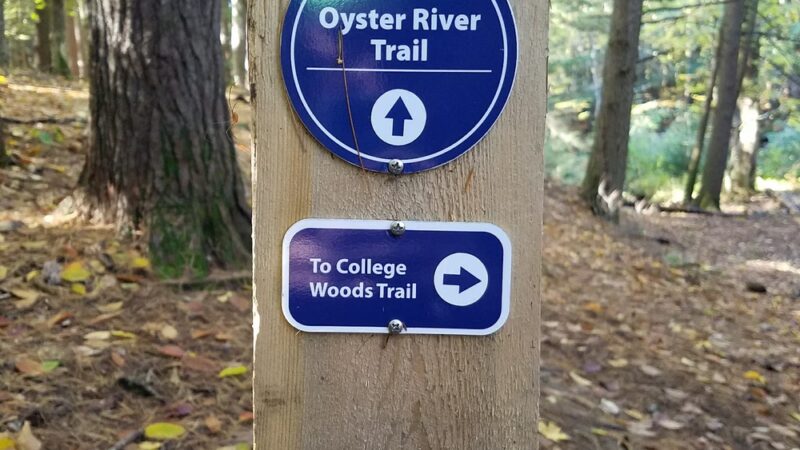 College Woods - Durham, NH