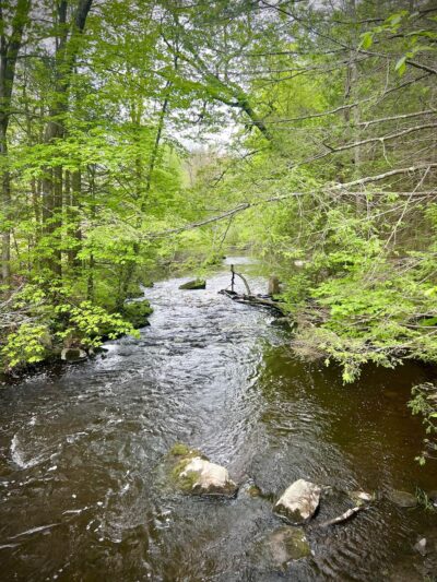 College Woods - Durham, NH