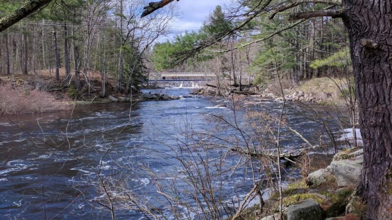 John Hatch Park - Durham, NH