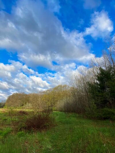 Lamprey River Preserve - Durham, NH