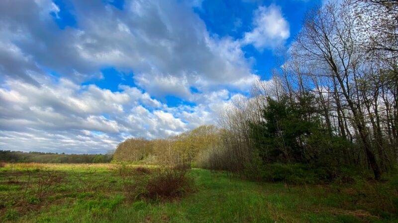 Lamprey River Preserve - Durham, NH