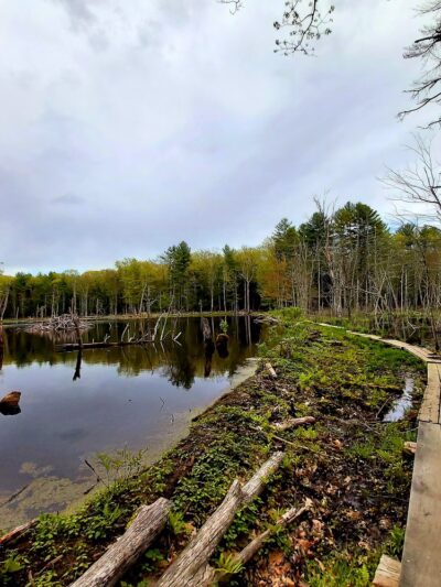 Longmarsh - preserve - Durham, NH