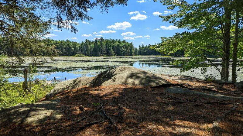 Longmarsh - preserve - Durham, NH