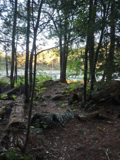 Longmarsh - preserve - Durham, NH