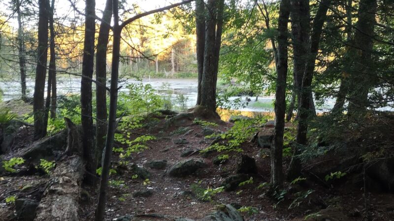 Longmarsh - preserve - Durham, NH