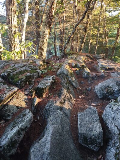 Longmarsh - preserve - Durham, NH