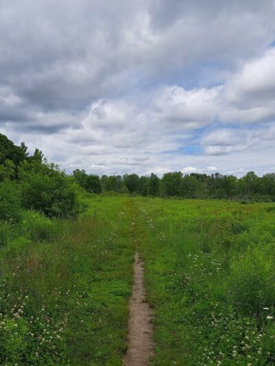 Spruce Hole Conservation Area - Durham, NH