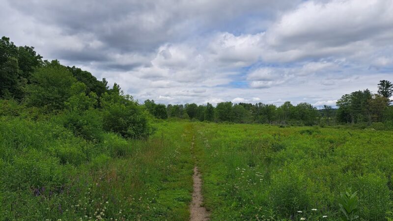 Spruce Hole Conservation Area - Durham, NH