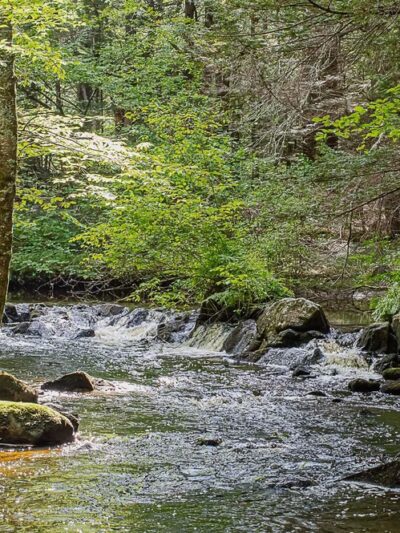 Spruce Hole Conservation Area - Durham, NH