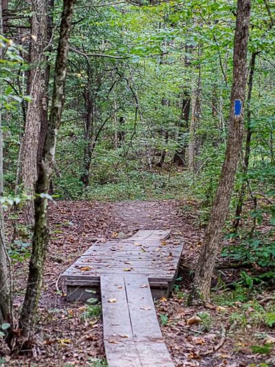 Spruce Hole Conservation Area - Durham, NH