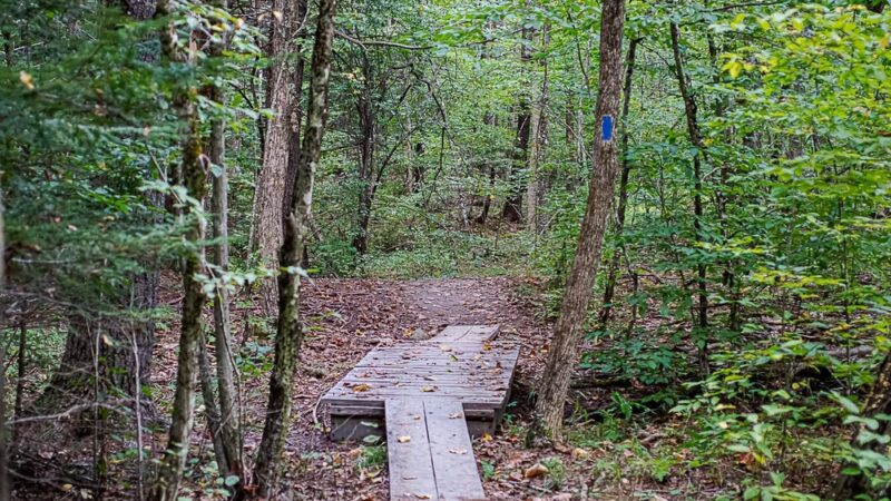 Spruce Hole Conservation Area - Durham, NH