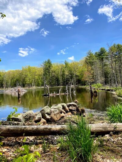 Sweet Trail - Durham, NH