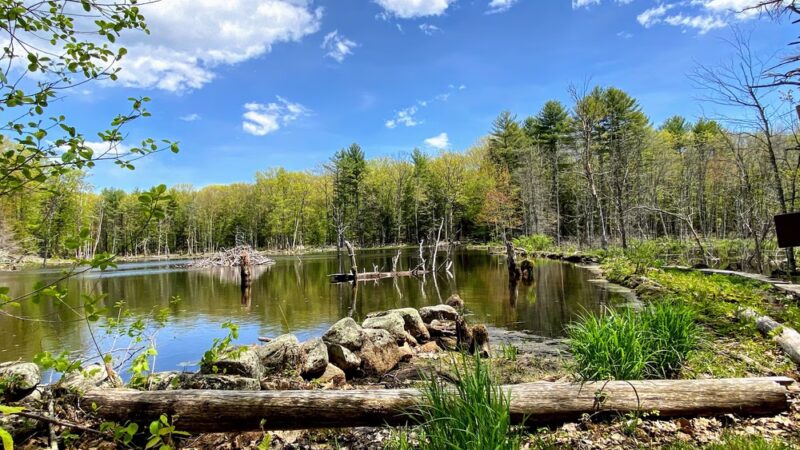 Sweet Trail - Durham, NH
