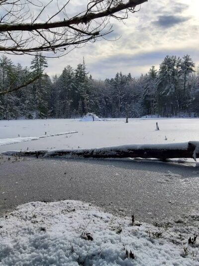 Sweet Trail - Durham, NH