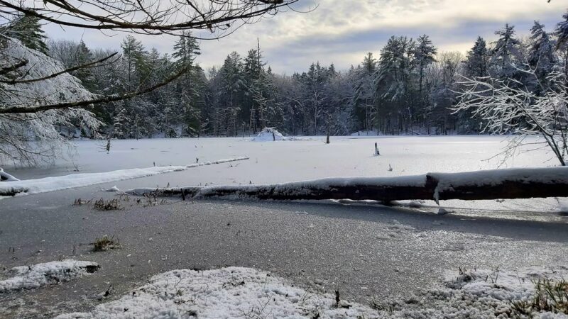 Sweet Trail - Durham, NH