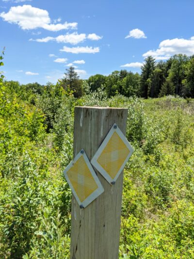Thompson Forest - Durham, NH