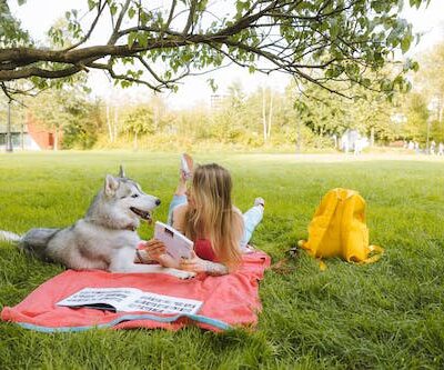 Downtown Durham Dog Park - Durham, NC