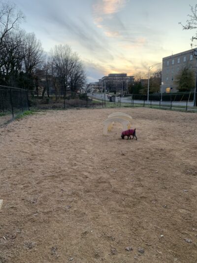 Downtown Durham Dog Park - Durham, NC