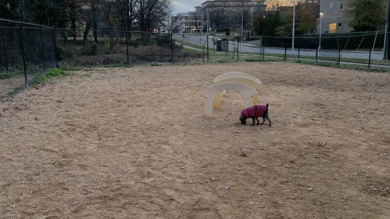 Downtown Durham Dog Park - Durham, NC