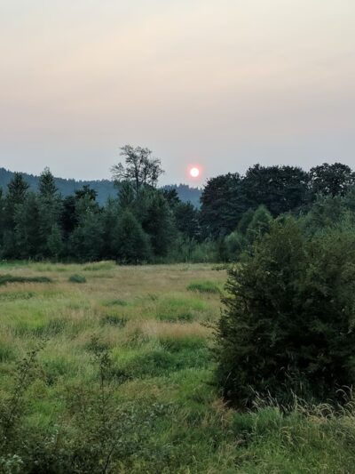 Duvall Dog Park - Duvall, WA