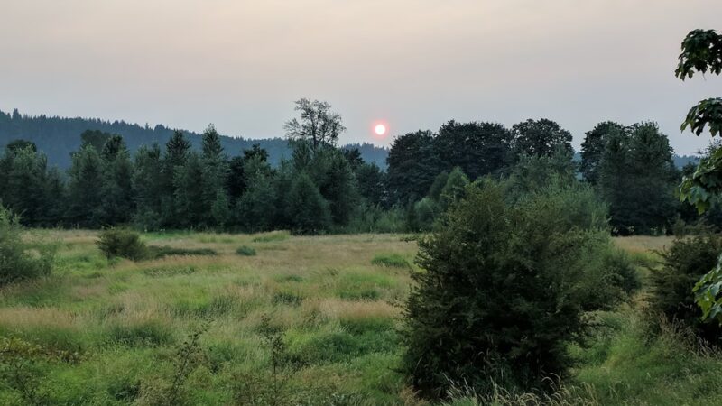 Duvall Dog Park - Duvall, WA