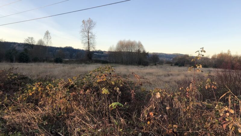 Duvall Dog Park - Duvall, WA