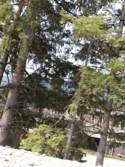 Duvall Dog Park - Duvall, WA