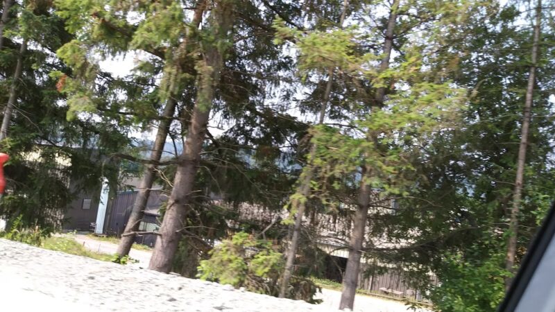 Duvall Dog Park - Duvall, WA