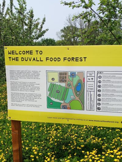 Duvall Dog Park - Duvall, WA