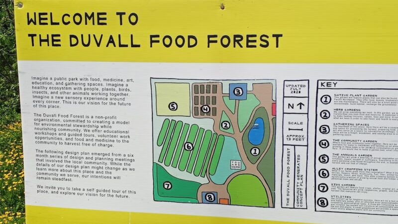 Duvall Dog Park - Duvall, WA