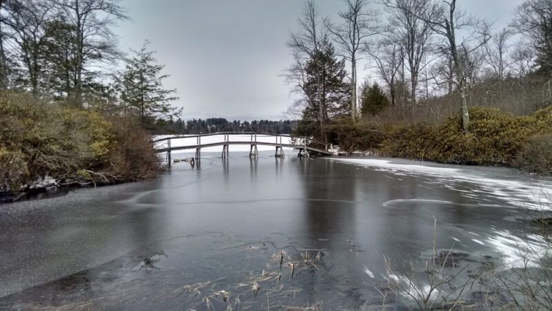 Eagles Mere Pond - Eagles Mere, PA