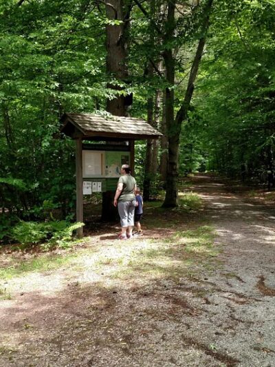 Eagles Mere Pond - Eagles Mere, PA