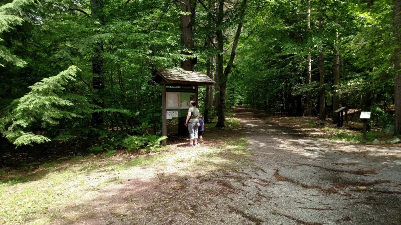 Eagles Mere Pond - Eagles Mere, PA