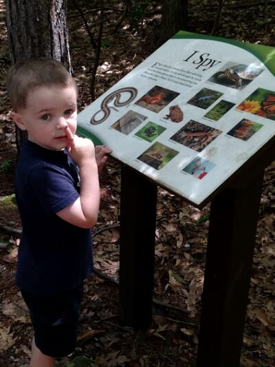 Eagles Mere Pond - Eagles Mere, PA