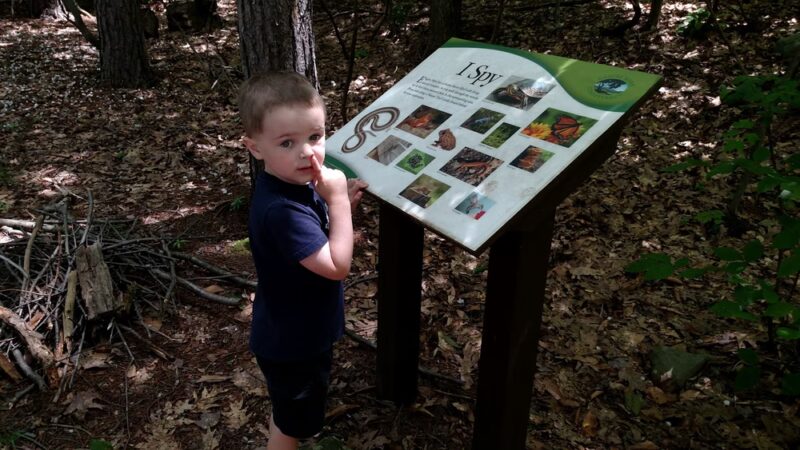 Eagles Mere Pond - Eagles Mere, PA