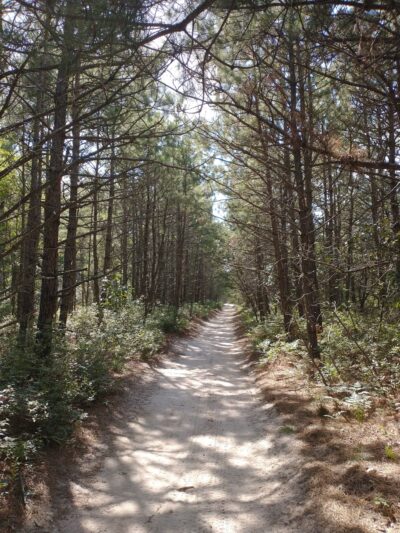 West Creek - Eagleswood, NJ