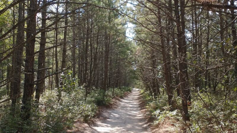 West Creek - Eagleswood, NJ