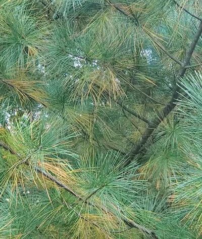 Lower Providence Park - Eagleville, PA