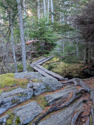 Ocean Point Preserve - East Boothbay, ME