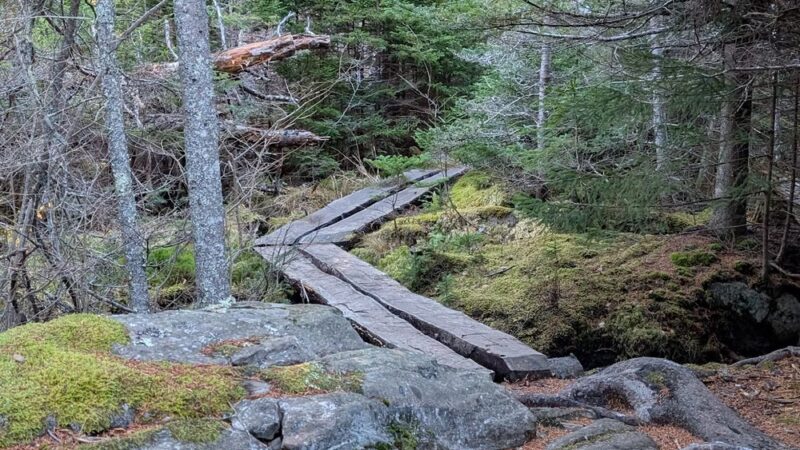 Ocean Point Preserve - East Boothbay, ME