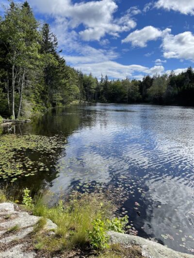 Ocean Point Preserve - East Boothbay, ME