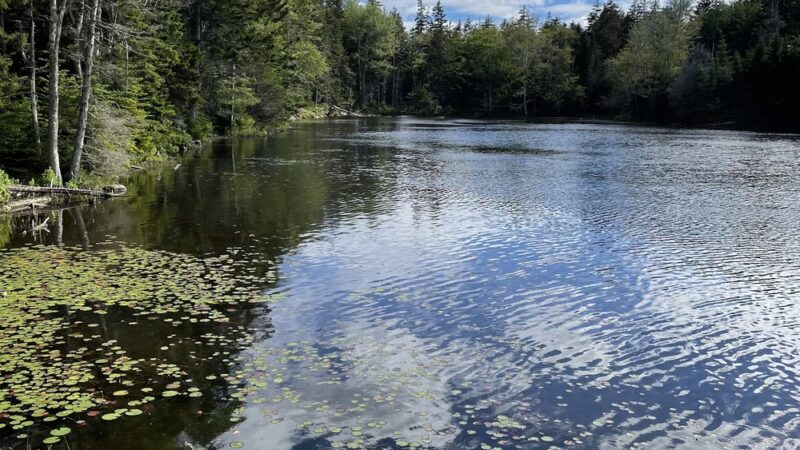 Ocean Point Preserve - East Boothbay, ME
