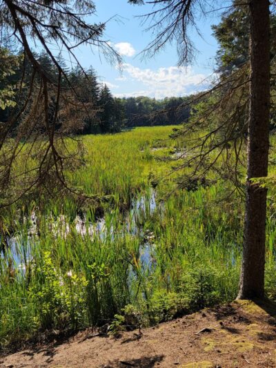 Ocean Point Preserve - East Boothbay, ME