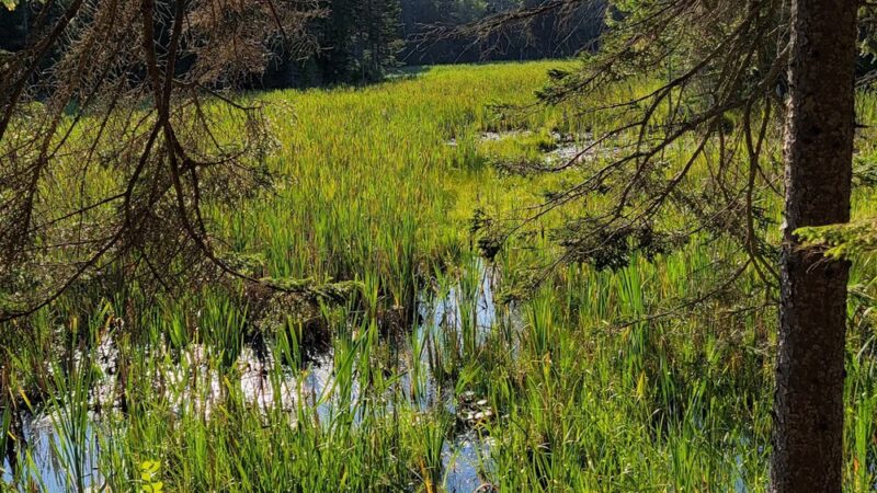 Ocean Point Preserve - East Boothbay, ME