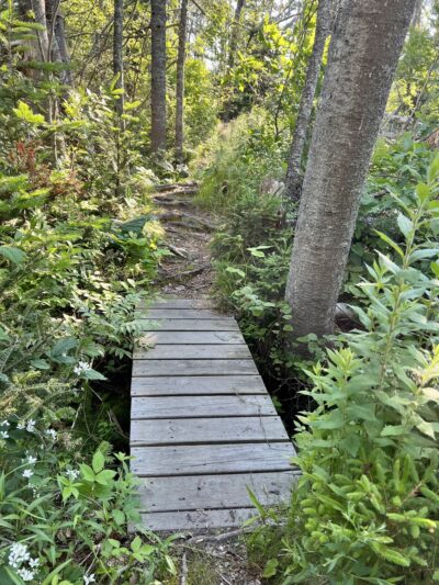 Ocean Point Preserve - East Boothbay, ME