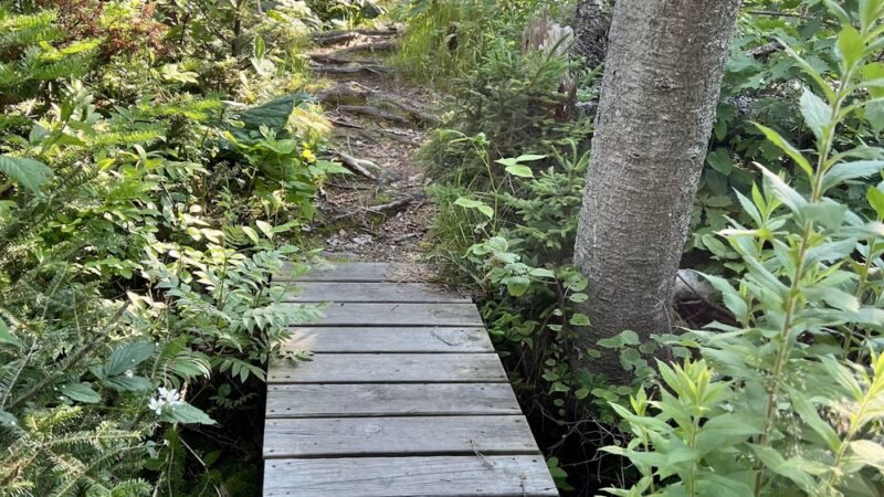 Ocean Point Preserve - East Boothbay, ME