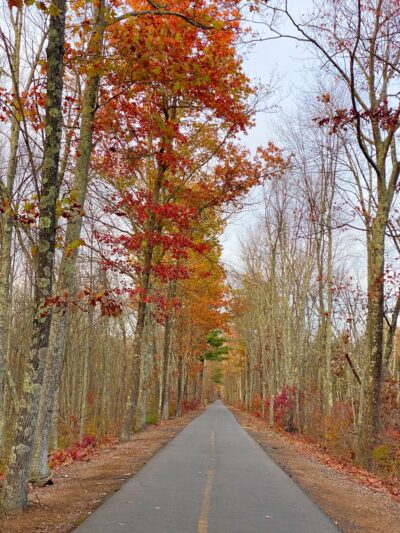 Granby Bike Path - East Granby, CT