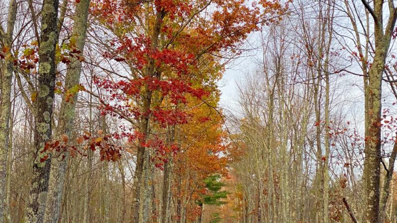 Granby Bike Path - East Granby, CT