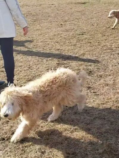 Scalloptown Park - East Greenwich, RI